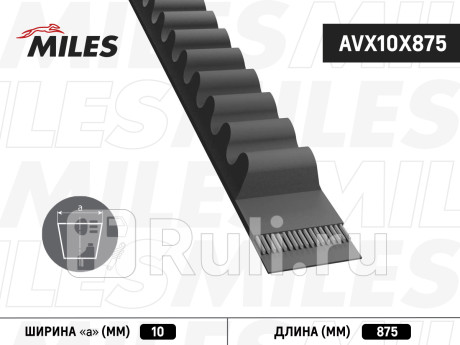 Ремень клиновой 10x875 avx10x875 MILES AVX10X875  для прочие 2, MILES, AVX10X875